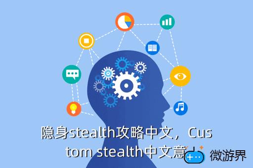 隐身stealth攻略中文，Custom stealth中文意
