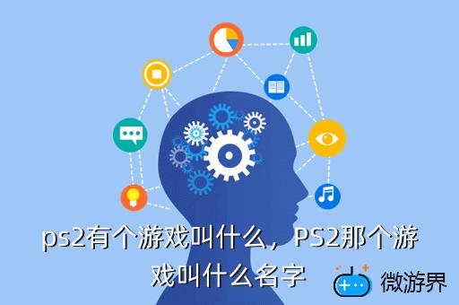 ps2有个游戏叫什么，ps2游戏是什么