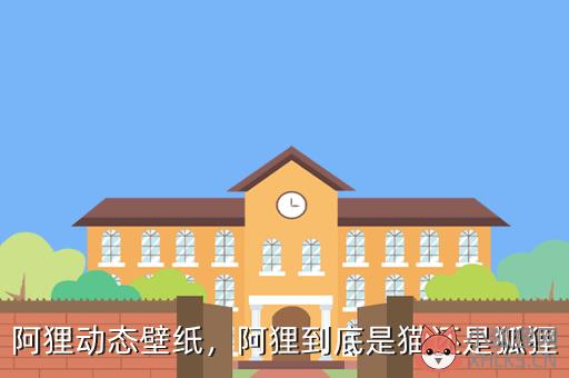 阿狸动态壁纸，阿狸到底是猫还是狐狸