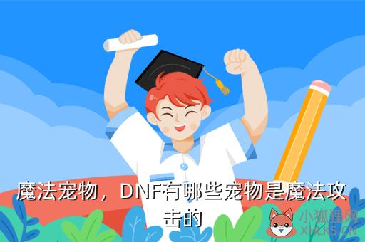 魔法宠物，DNF有哪些宠物是魔法攻击的