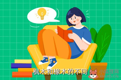 枫木，枫木树