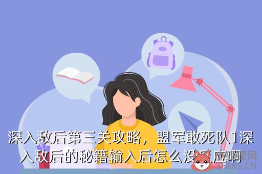 深入敌后第三关攻略，盟军敢死队1深入敌后的秘籍输入后怎么没反应啊
