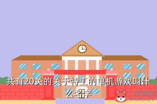共有20关的关于特工的单机游戏叫什么名字