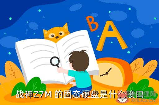 游戏本固态硬盘接口是什么意思，游戏本固态硬盘接口是什么意思啊