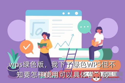 wps绿色版，我下了绿色WPS但不知要怎样使用可以具体告知我