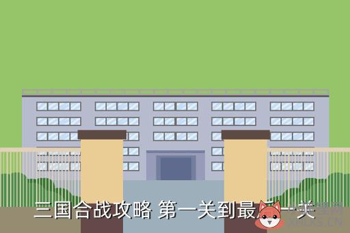 三国合战将攻略，三国合战将领选择