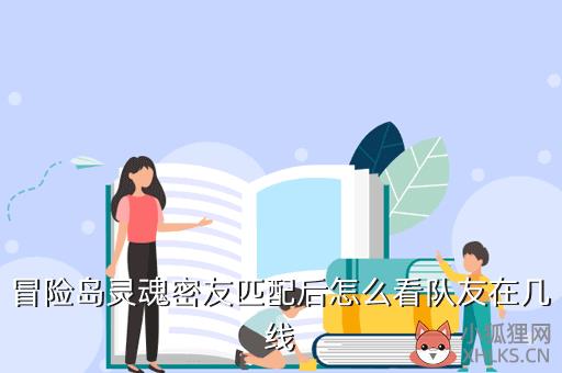 冒险岛灵魂密友匹配后怎么看队友在几线
