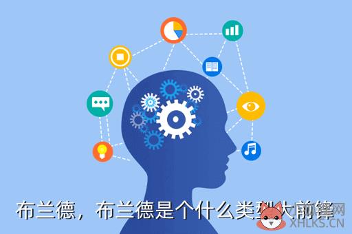 布兰德，布兰德是个什么类型大前锋