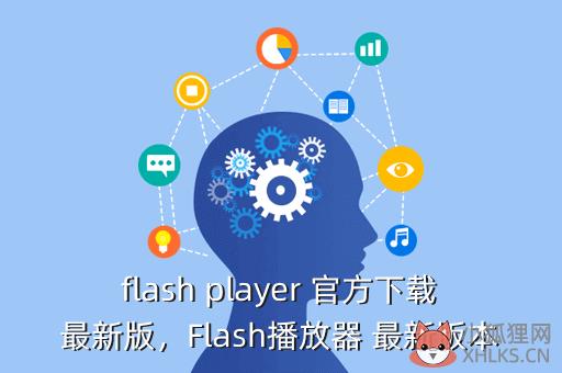 flash player 官方下载最新版，Flash播放器 最新版本