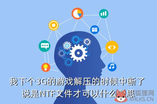ntf游戏什么意思，ntf游戏入门