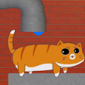 猫穿管道 猫穿管道