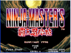 霸王忍法帖完美版v1.0