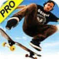 skate3滑板3v0.1