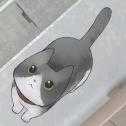 迷途猫v1.0