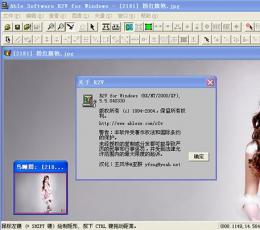 r2v32V5.5汉化版