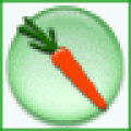 FLVDownload(flash下载器/从网站上下载受保护的flash)V1.0绿色免费版