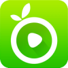 荔枝TVV5.0安卓TV版 荔枝TVV5.0安卓TV版