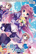 赠与你的空之花中文存档版