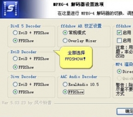 暴风影音解码器V4.0绿色完整版