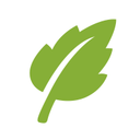 SGreen浏览器 免费版