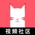 猫咪视频 app官网下载