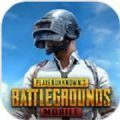 pubgmobile国际体验服(PUBGMOBILE)