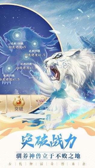 小狐狸网