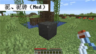我的世界1.19版