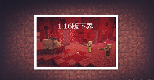 小狐狸网