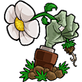 植物大战僵尸3：异次元之旅v1.0