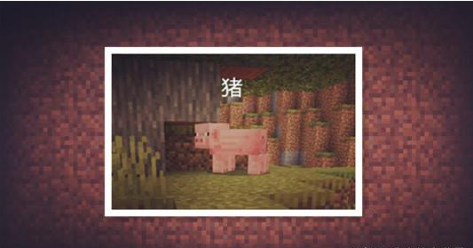 小狐狸网