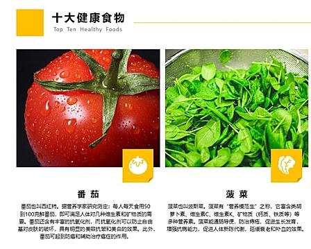 校园食品安全主题班会ppt模板