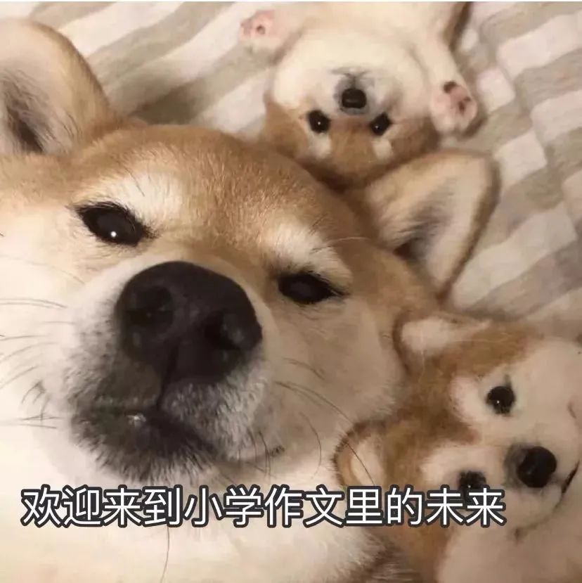 2021跨年夜元旦朋友圈配图