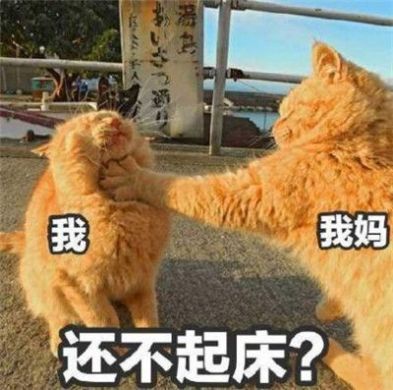 放假在家的状态图片表情包