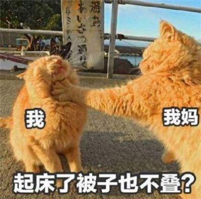 放假在家的状态图片表情包