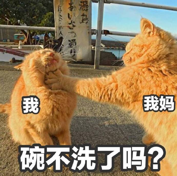 放假在家的状态图片表情包