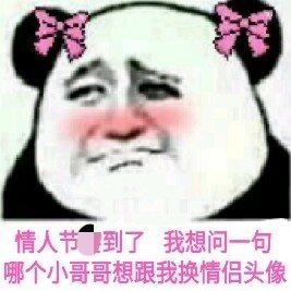 2021情人节图片表情包斗图