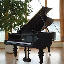钢琴模拟软件(Everyone Piano)