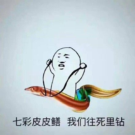 七彩皮皮鳝表情包