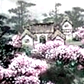 春江花月夜PPT课件模板