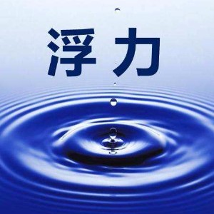 初中物理浮力ppt课件 初中物理浮力ppt课件