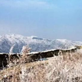 武汉雪景图片素材