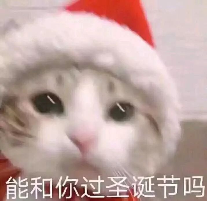 单身圣诞节句子表情包
