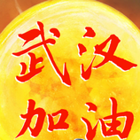 中国加油武汉加油疫情图片