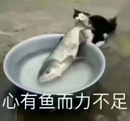 我太难了表情包