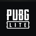 PUBGLITE电脑版