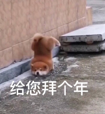 2021拜年要红包表情包图片