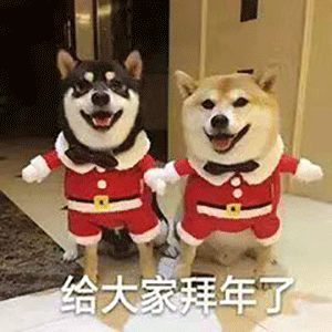 2021大年初三拜年图片