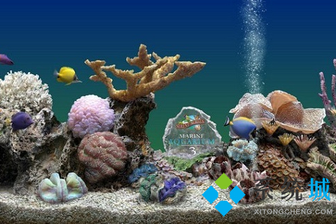 MarineAquarium3(水族馆屏保)下载