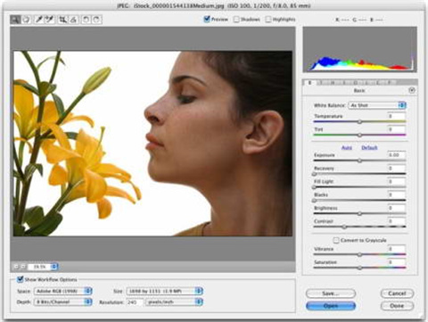 RAW处理工具Adobe Camera Raw下载